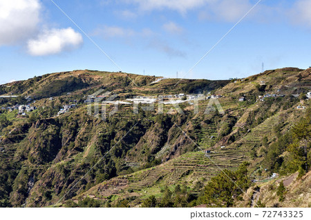 Terraced fields in the mountains of Luzon Island, Philippines Terraced fields in the mountains of Luzon Island, Philippines 72743325