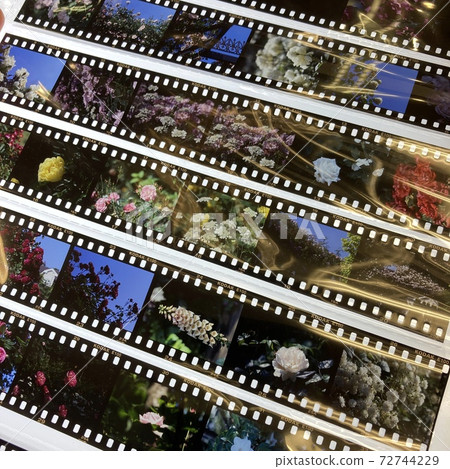Developed film sample positive Developed film sample positive 72744229