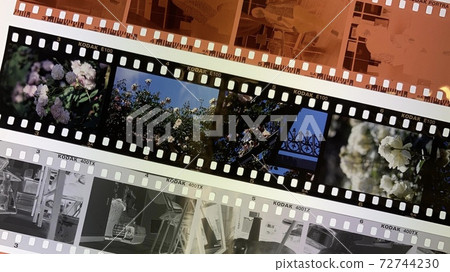 Developed film sample, negative, monochrome, positive Developed film sample, negative, monochrome, positive 72744230