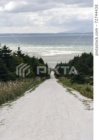 北海道大豆白海角道 72744438