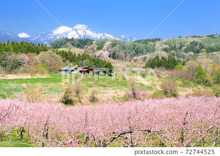 丹霞鄉桃花五行北進 72744525