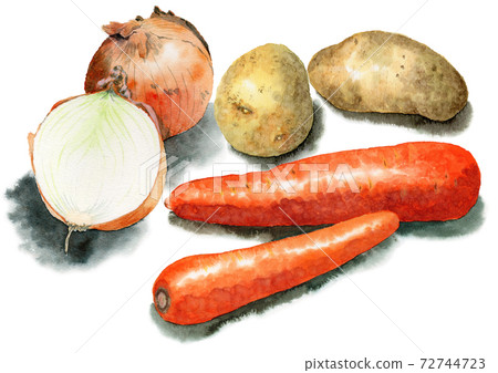 Vegetables for analog watercolor curry Carrots Potatoes Onions Vegetables for analog watercolor curry Carrots Potatoes Onions 72744723