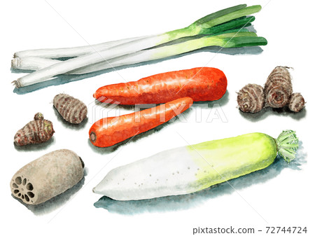 5 types of analog watercolor root vegetables 72744724