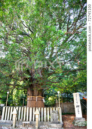 Kumano Hayatake Taisha Kumano Hayatake Taisha 72745100
