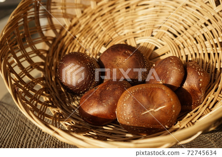 Shiitake Shiitake 72745634