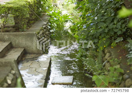 Kokubunji Hawk Road Kokubunji Hawk Road 72745798