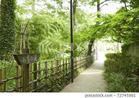 Kokubunji Hawk Road Kokubunji Hawk Road 72745801