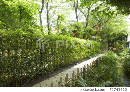 國分寺鷹路 國分寺鷹路 72745810