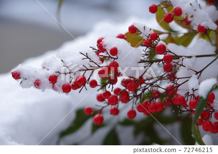 Snow on the southern sky 72746215