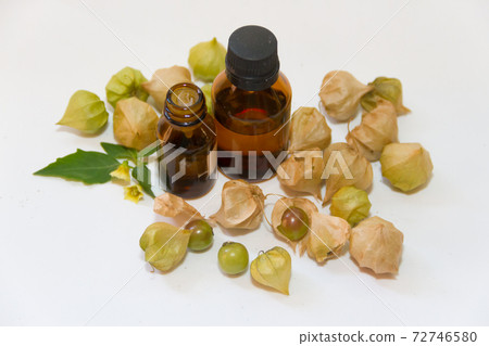 Cardiospermum halicacabum aromatic medicinal plant Cardiospermum halicacabum aromatic medicinal plant 72746580