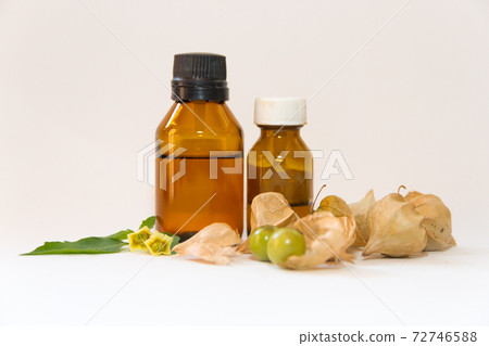 Cardiospermum halicacabum aromatic medicinal plant Cardiospermum halicacabum aromatic medicinal plant 72746588