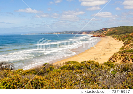 Point Addis surf beach - Anglesea 72746957
