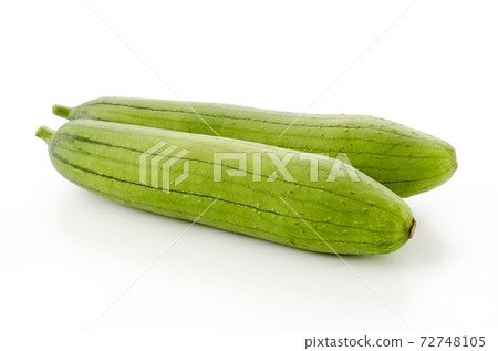 Loofah Loofah 72748105