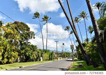 Holidays in Hawaii Holidays in Hawaii 72748365