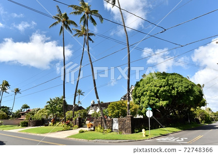 Holidays in Hawaii 72748366