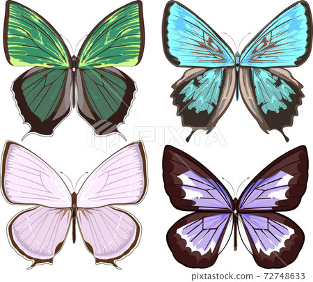 Shijimicho 4 types set illustration 72748633