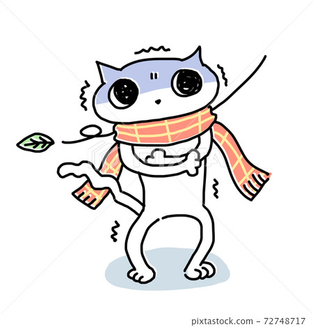 Cat_North風很冷 Cat_North風很冷 72748717