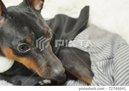 微型平夏新年和服日式禮服照片12 72748841