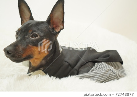 微型平夏新年和服日式禮服照片24 微型平夏新年和服日式禮服照片24 72748877