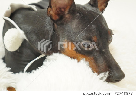 微型平夏新年和服日式禮服照片25 72748878