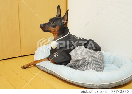 微型平夏新年和服日式禮服照片27 72748880