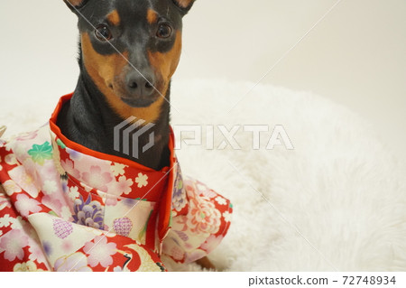 微型平夏新年和服日式禮服照片45 72748934