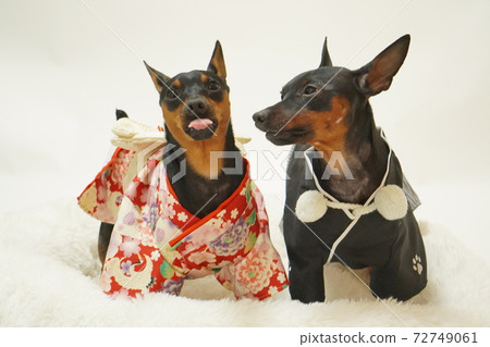 微型品郡新年和服日式禮服照片73 微型品郡新年和服日式禮服照片73 72749061