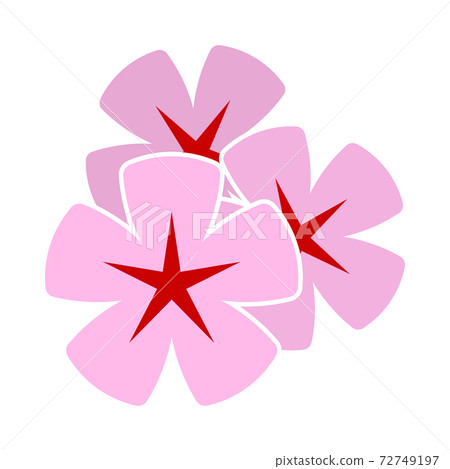 Frangipani Flower Icon 72749197