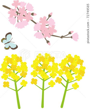 春天的形象 72749585