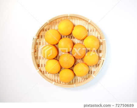 Apricot apricot apricot apricot 72750689