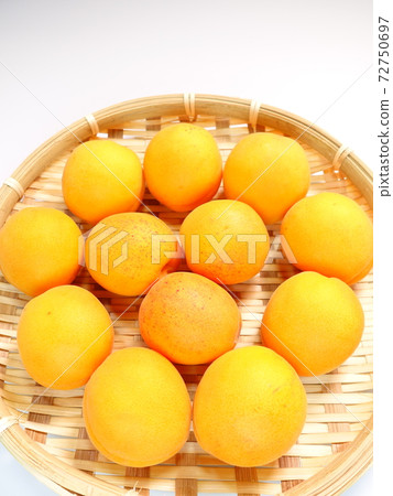 Apricot apricot apricot apricot 72750697