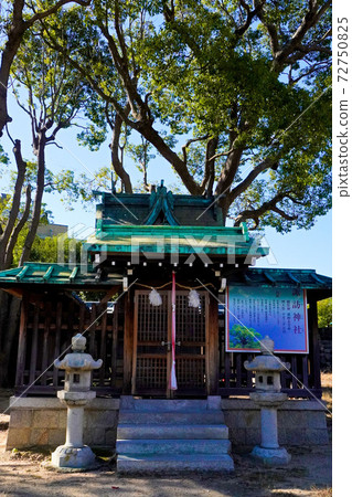 Suwa Shrine 72750825