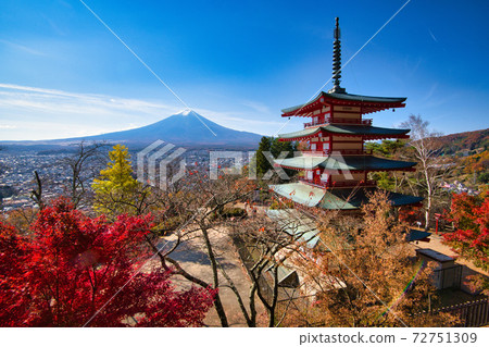 Superb view of autumn Arakura Fuji Sengen Shrine and Mt. Fuji Superb view of autumn Arakura Fuji Sengen Shrine and Mt. Fuji 72751309