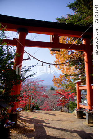 Superb view of autumn Arakura Fuji Sengen Shrine and Mt. Fuji Superb view of autumn Arakura Fuji Sengen Shrine and Mt. Fuji 72751344