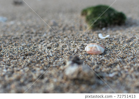 Seaside, waves, north coast, sand, shells, wind waves, beach 72751413