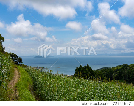 Sea, sky and island seen from rice terraces in Minamishimabara Sea, sky and island seen from rice terraces in Minamishimabara 72751667