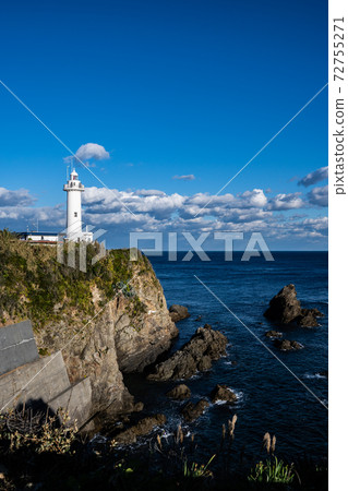 Great King Saigun 72755271