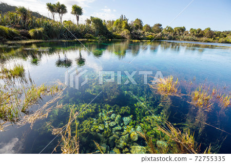 Blue spring 72755335