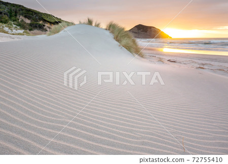 Dunes on ocean coast 72755410