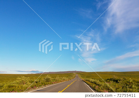 Denali highway 72755411