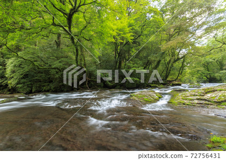 Kikuchi Gorge in summer Hirokawara Kikuchi City, Kumamoto Prefecture 72756431