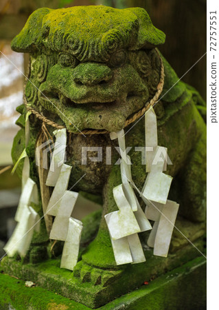 Haguroyama Shrine Haguroyama Shrine 72757551