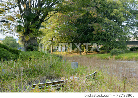 公園長椅 公園長椅 72758903