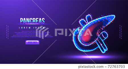 pancreas low poly wireframe vector illustration pancreas low poly wireframe vector illustration 72763703