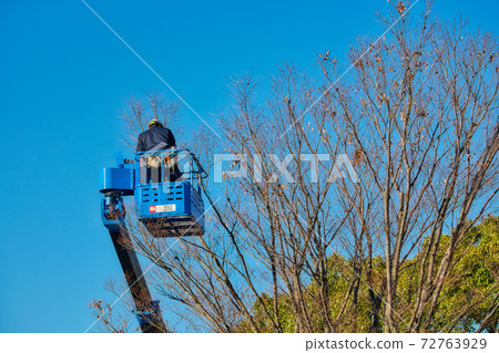 高空作業車：樹木照明安裝作業 72763929