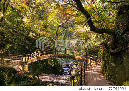 Autumn Amanoiwato Shrine and a refreshing canyon Autumn Amanoiwato Shrine and a refreshing canyon 72764064