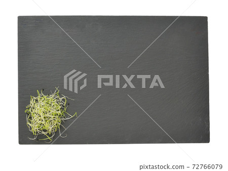 sprouted seeds of leek posed on a slate sprouted seeds of leek posed on a slate 72766079