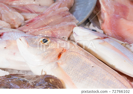 pink sea bream resting on a bed of ice pink sea bream resting on a bed of ice 72766102