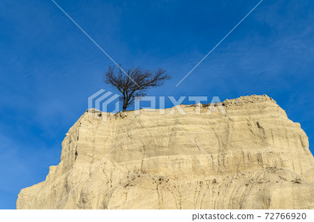 separate tree on a top of cliff against the sky 72766920