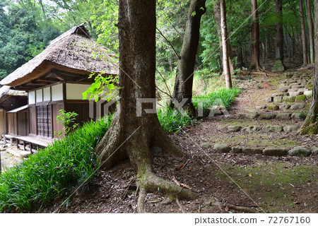 I went to Miya Kusan # 17 I went to Miya Kusan # 17 72767160